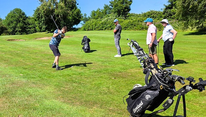 Golfers watching a shot on the fairway.