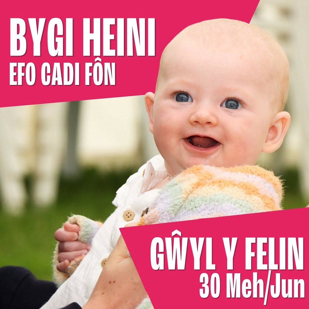 Buggyfit with Cadi Fôn poster by Gwyl Felin