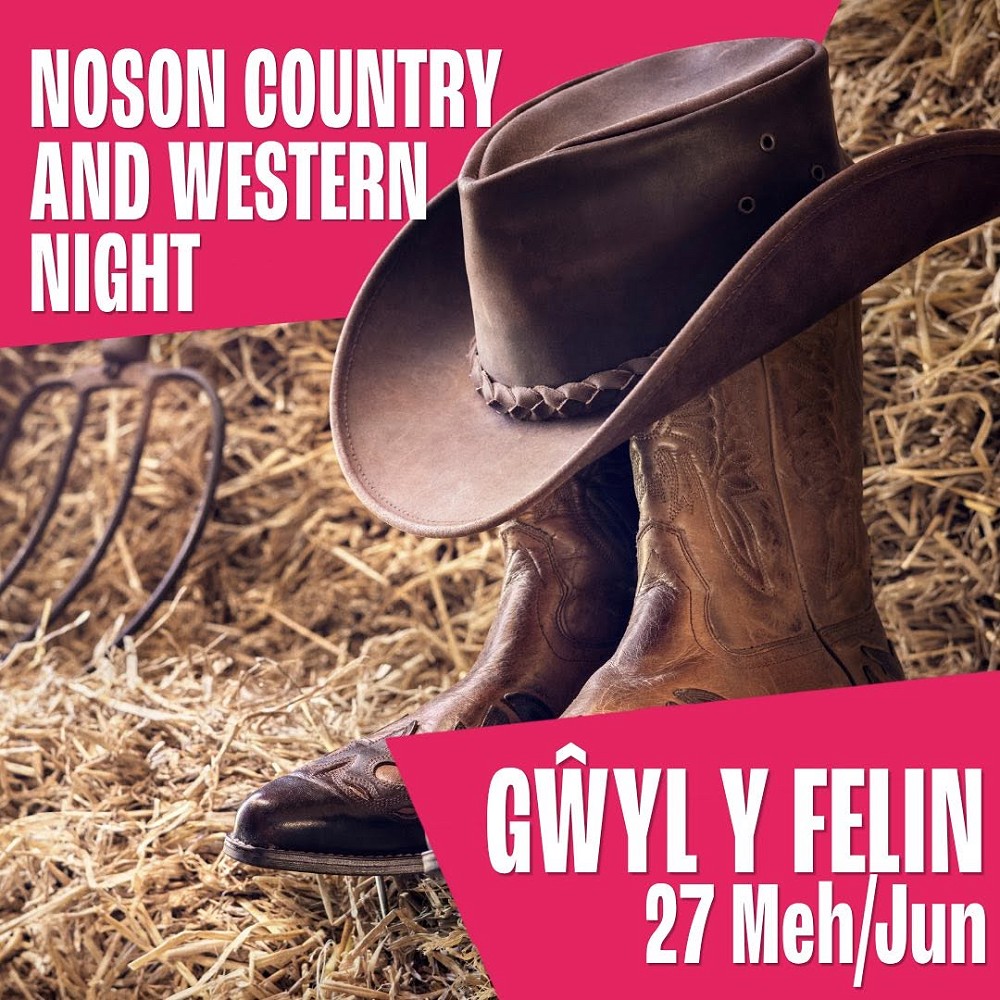 poster Noson Country and Western gan gwyl Felin
