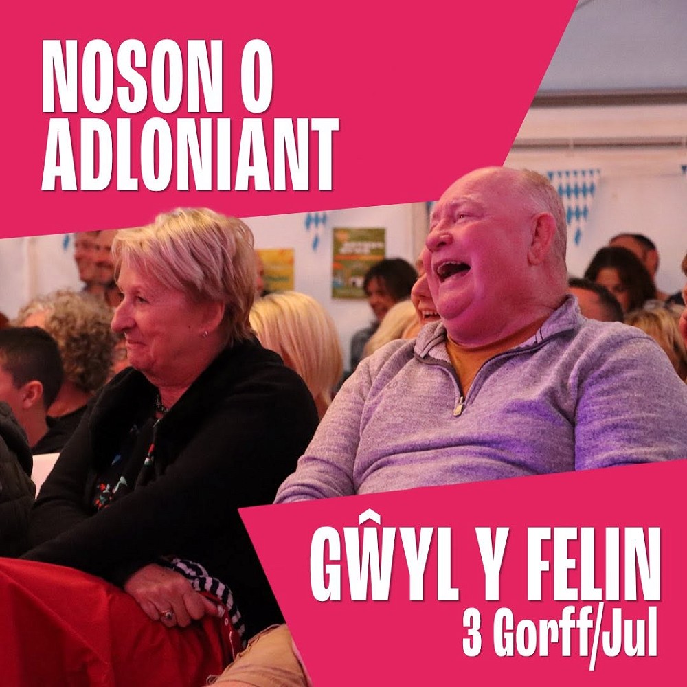 Noson o Adloniant Poster gan Gwyl Felin