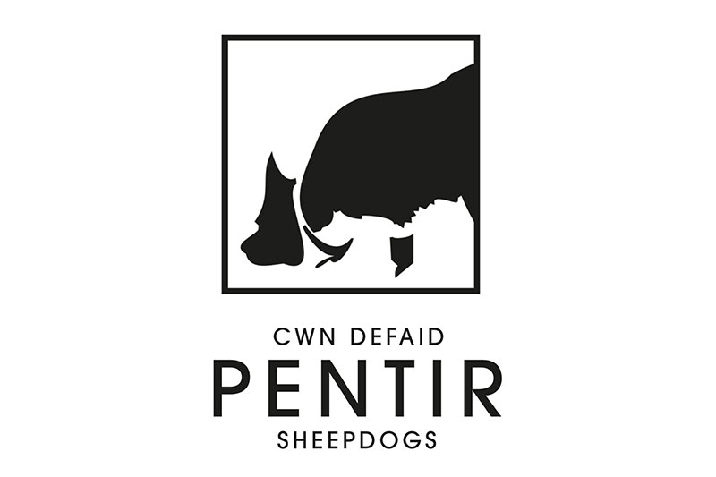 Cwn Defaid Pentir Sheepdogs logo